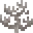 死んだミレポラサンゴ