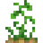 植えられたジャガイモ