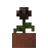 ウィザーローズの鉢植え