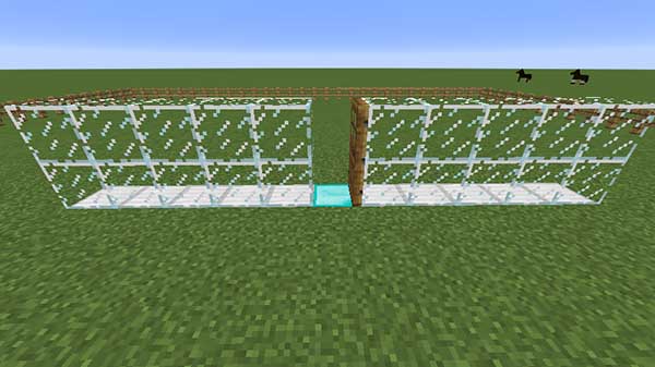 ドアとガラスブロック