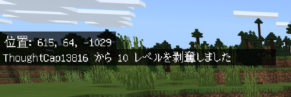 マイクラのコマンド一覧と入力方法の解説 マインクラフト Nishiのマイクラ攻略