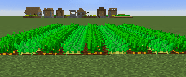 ニンジンとジャガイモが交互に植えられた畑