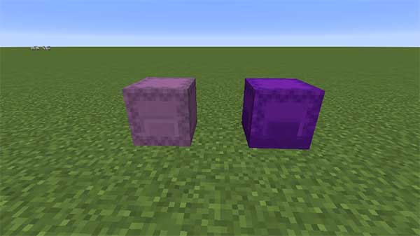 シュルカーボックスと紫色のシュルカーボックス