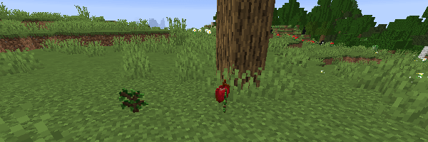 オークの葉からドロップするリンゴ